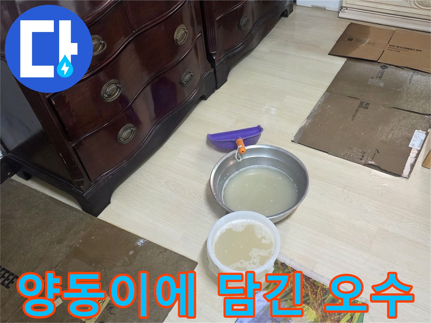 배관에서 역류하여 흘러나온 더러운 물을 양동이에 받아낸 상태입니다.