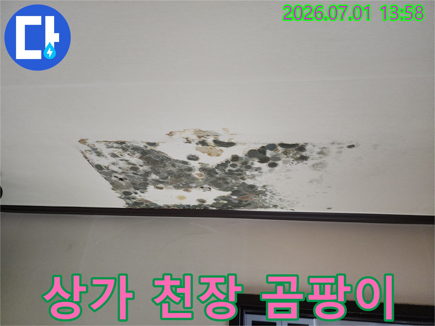 상가-천장에-발생한-심각한-누수-곰팡이-피해-현장을-보여주는-사진입니다