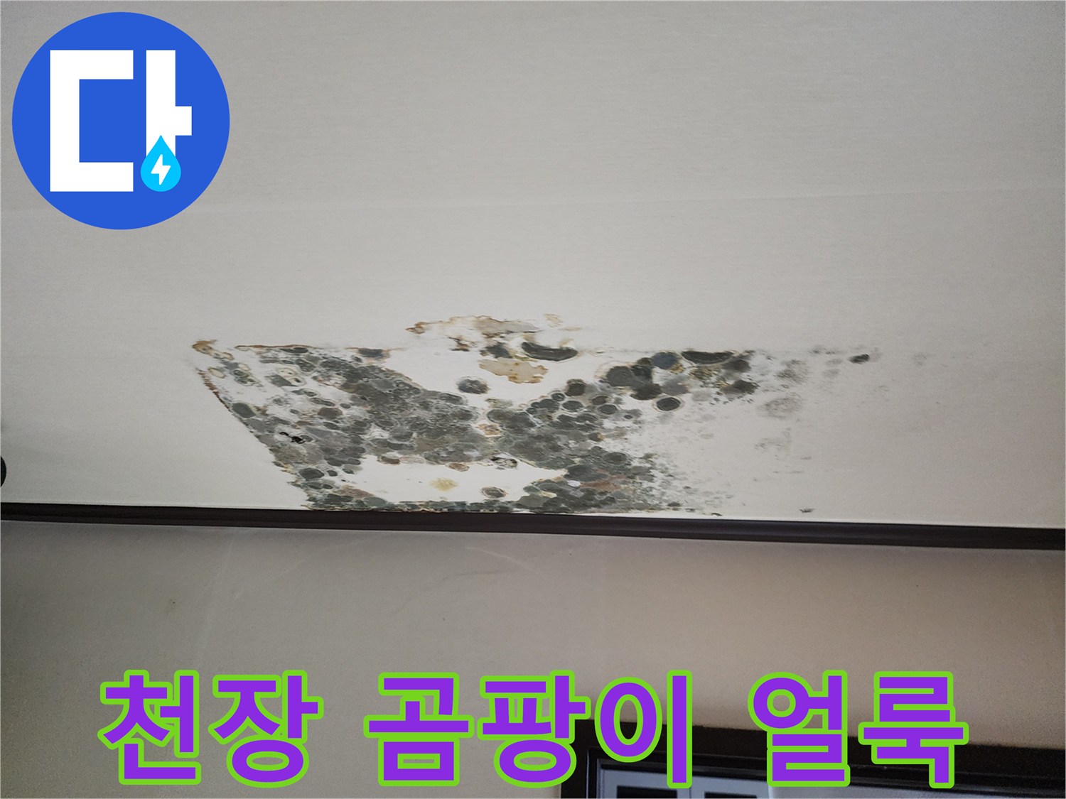아래층 작은방-천장지에 번진 곰팡이와 습기 흔적