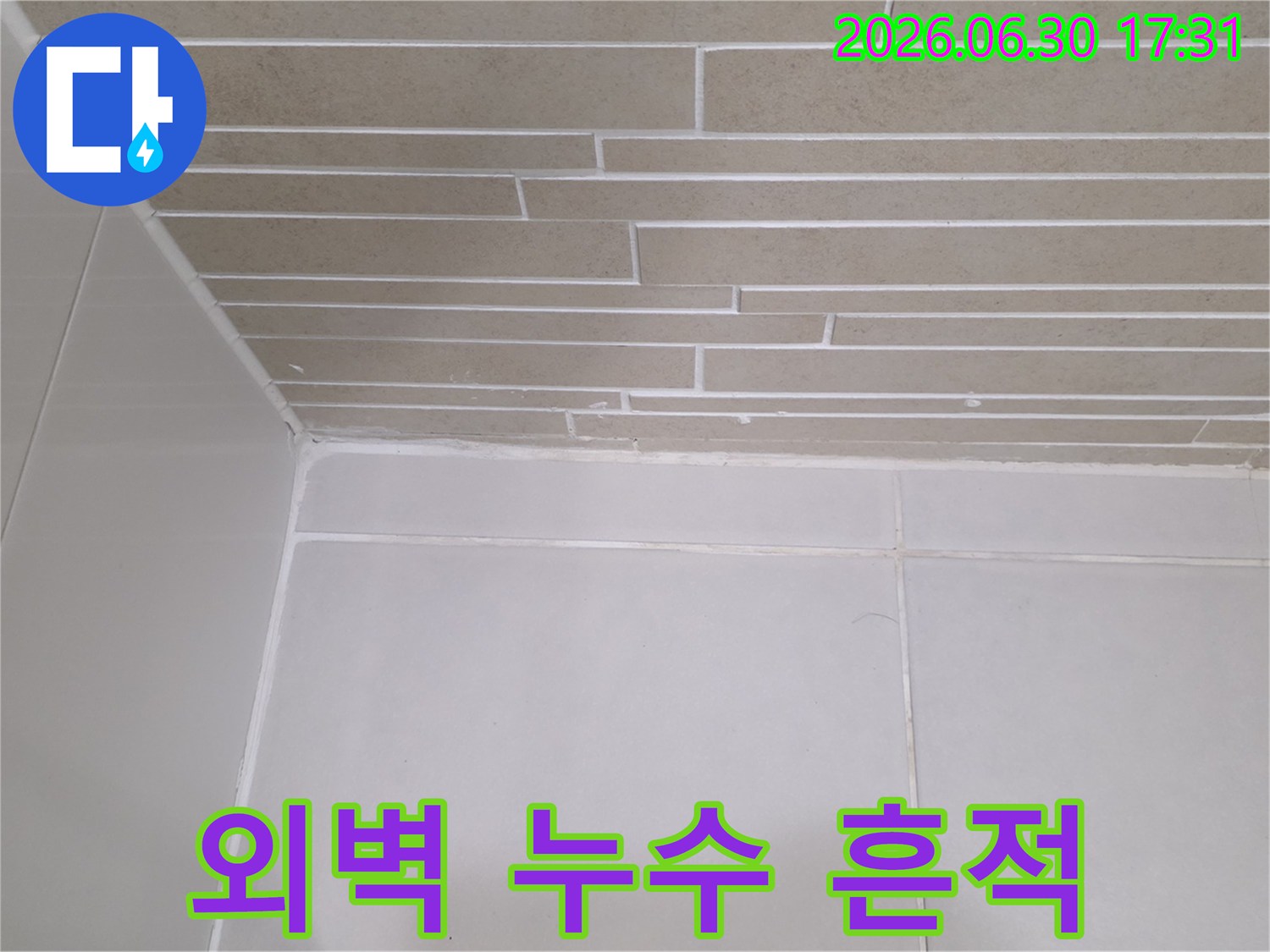 이 이미지는-용산구 주택의 외벽에서-누수가 발생하여-벽면까지 물이 스며든-현장을 보여줍니다