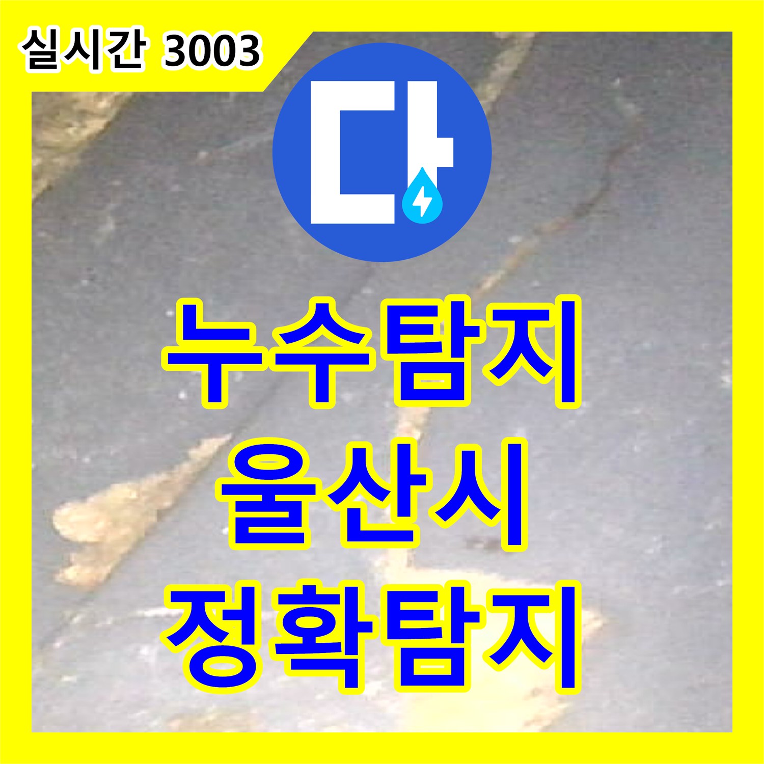 누수탐지전문가가 울산 중구 병영동에서 발생한 갑작스러운 아파트 누수 원인을 어떻게 찾아내고 해결했는지