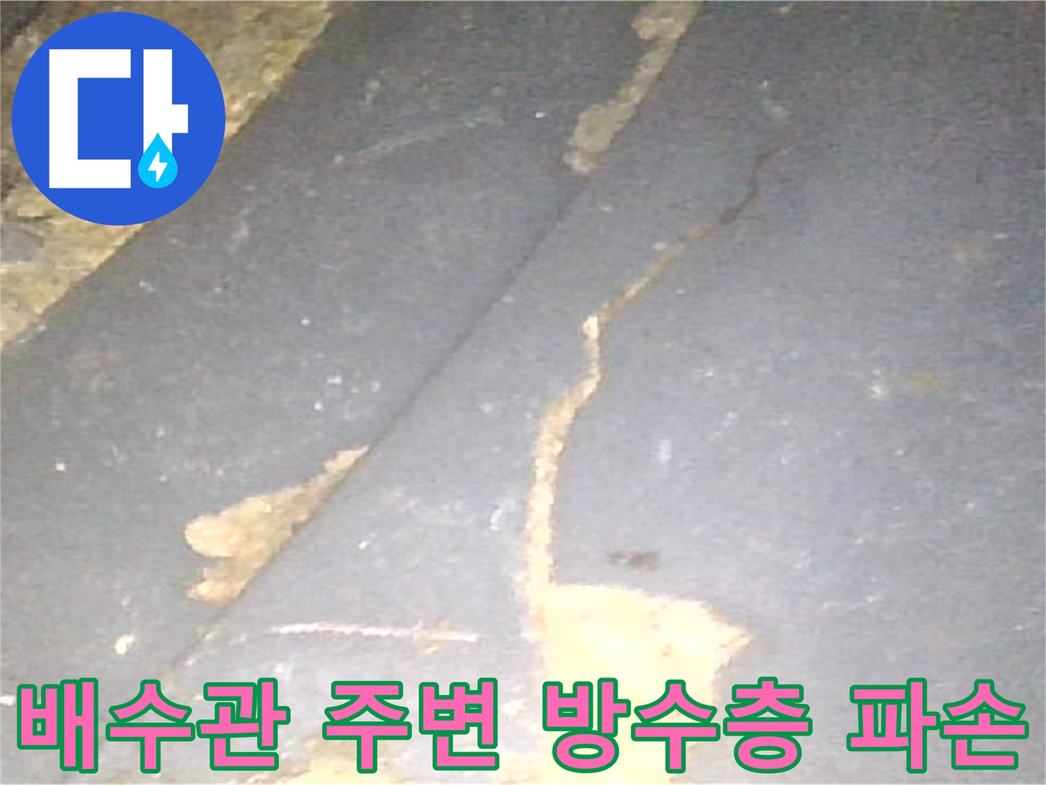 화장실-하수구-주변-방수층-파손-현황
