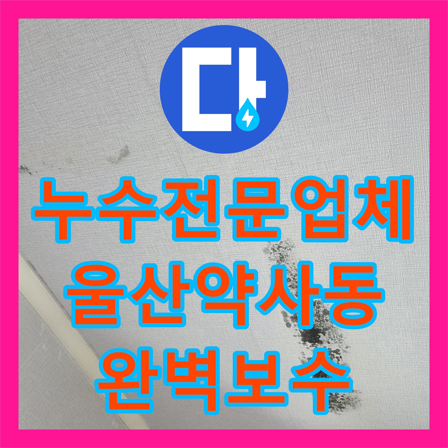 누수전문업체 두 번의 실패 끝에 찾은 안방 천장 누수의 실체 울산 중구 약사동