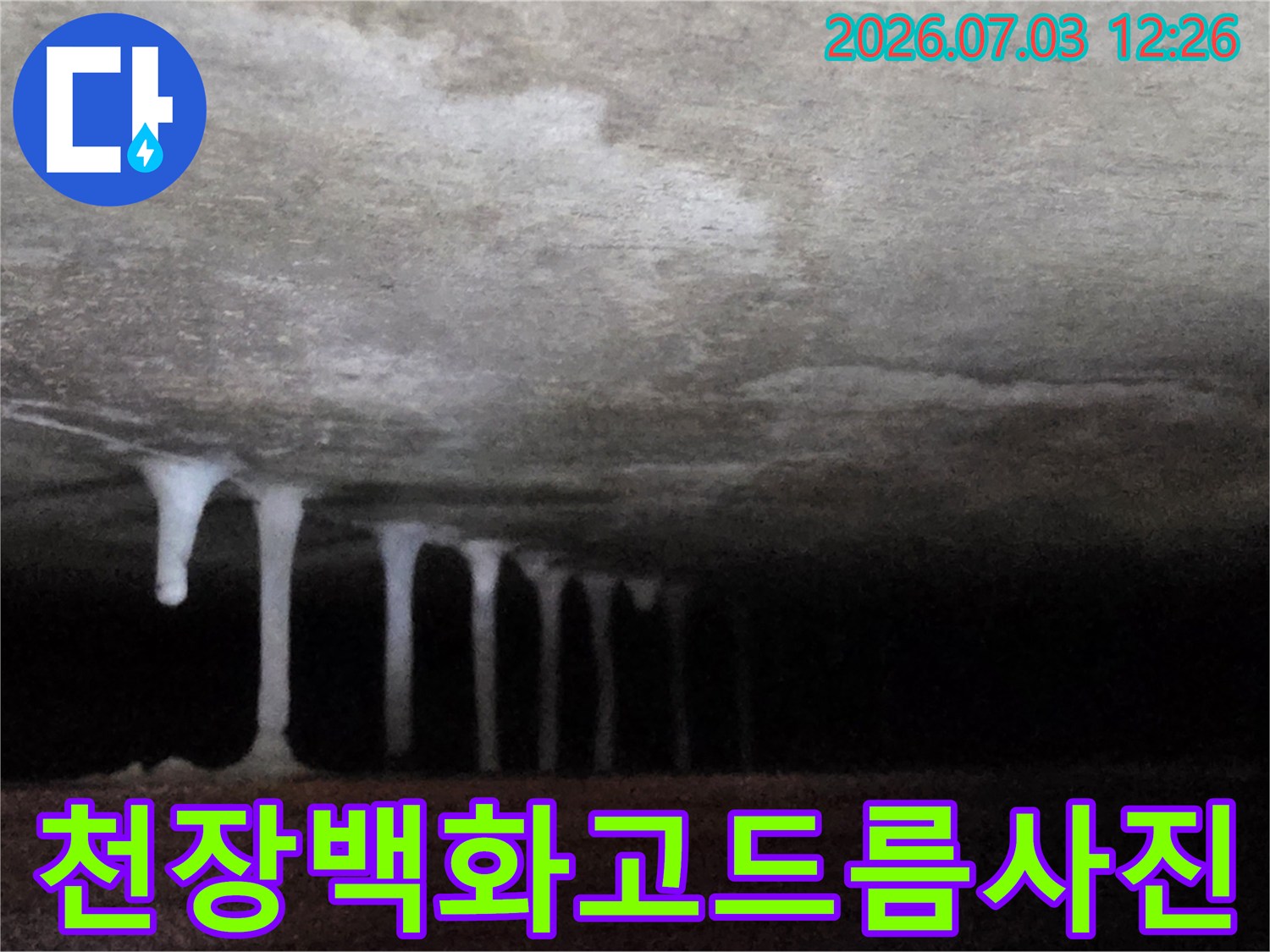 물에 의한 석회 성분 용출로 형성된 천장 고드름 사진