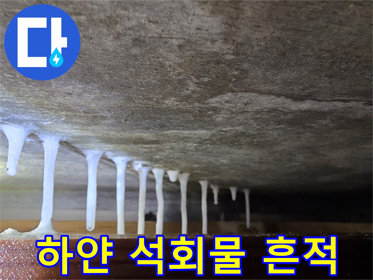 천장 슬래브 하부에 맺힌 백화 현상 이미지