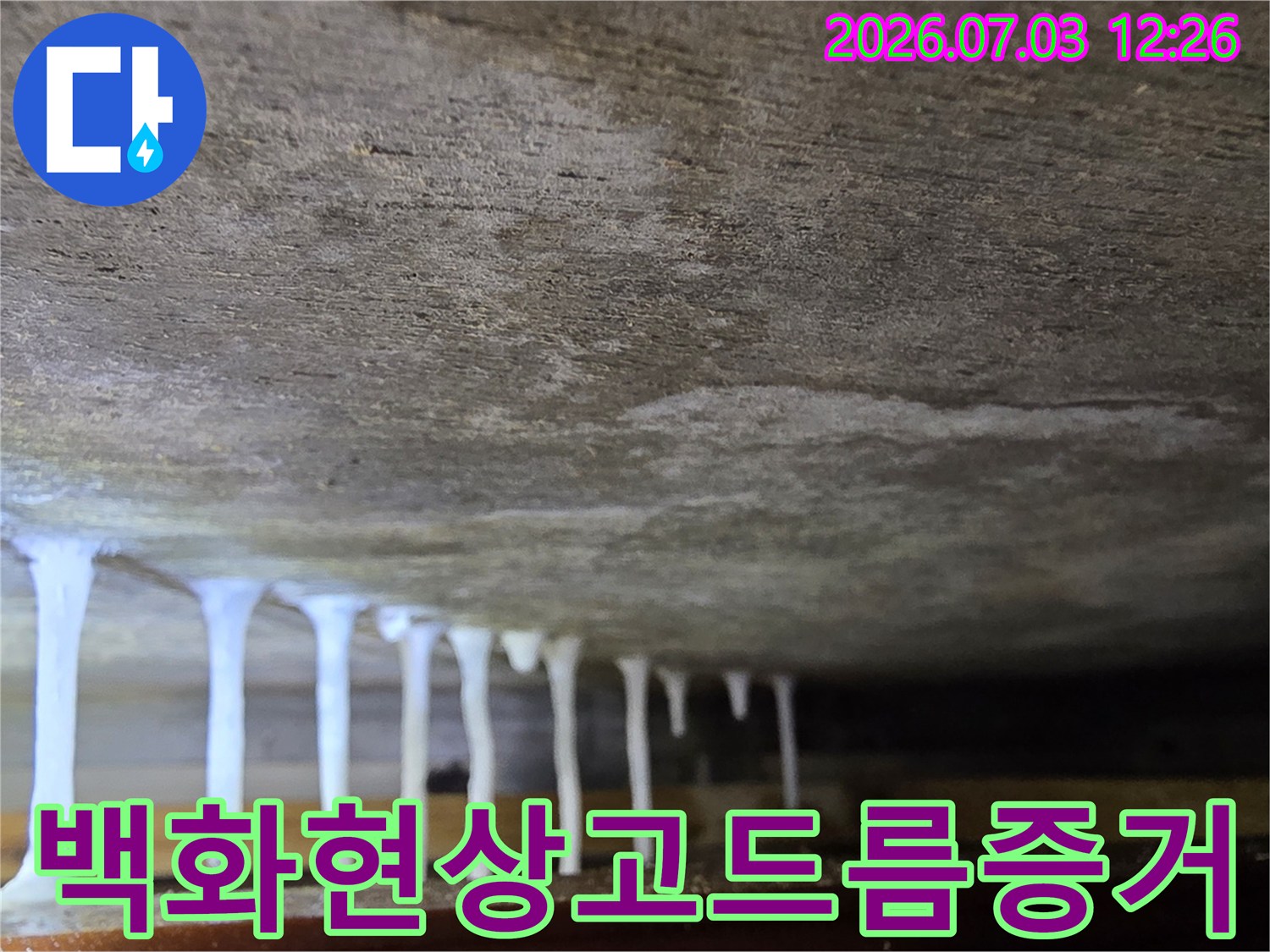 천장 콘크리트 부위에 형성된 하얀색 백화 현상 고드름 모양