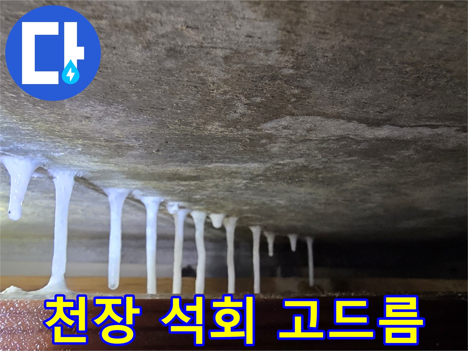 콘크리트 틈새에서 흘러나와 굳은 하얀색 석회물