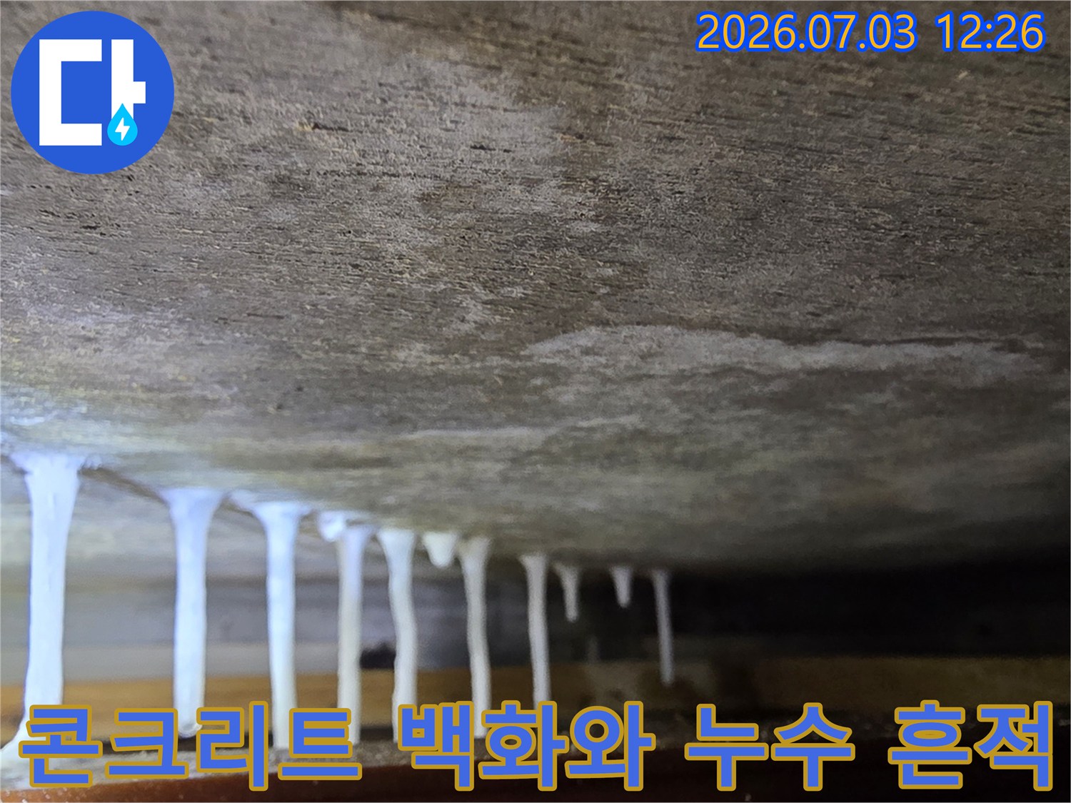 흰색 고드름 모양의 백화 현상이 줄지어 늘어진 아파트 천장 내부 촬영본