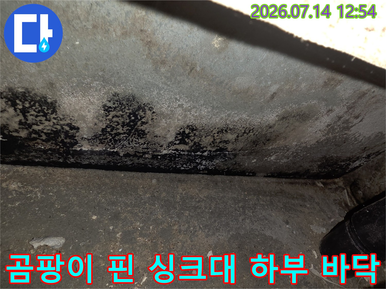 습기로 인한 배관 주변의 변색과 곰팡이 발생 현장