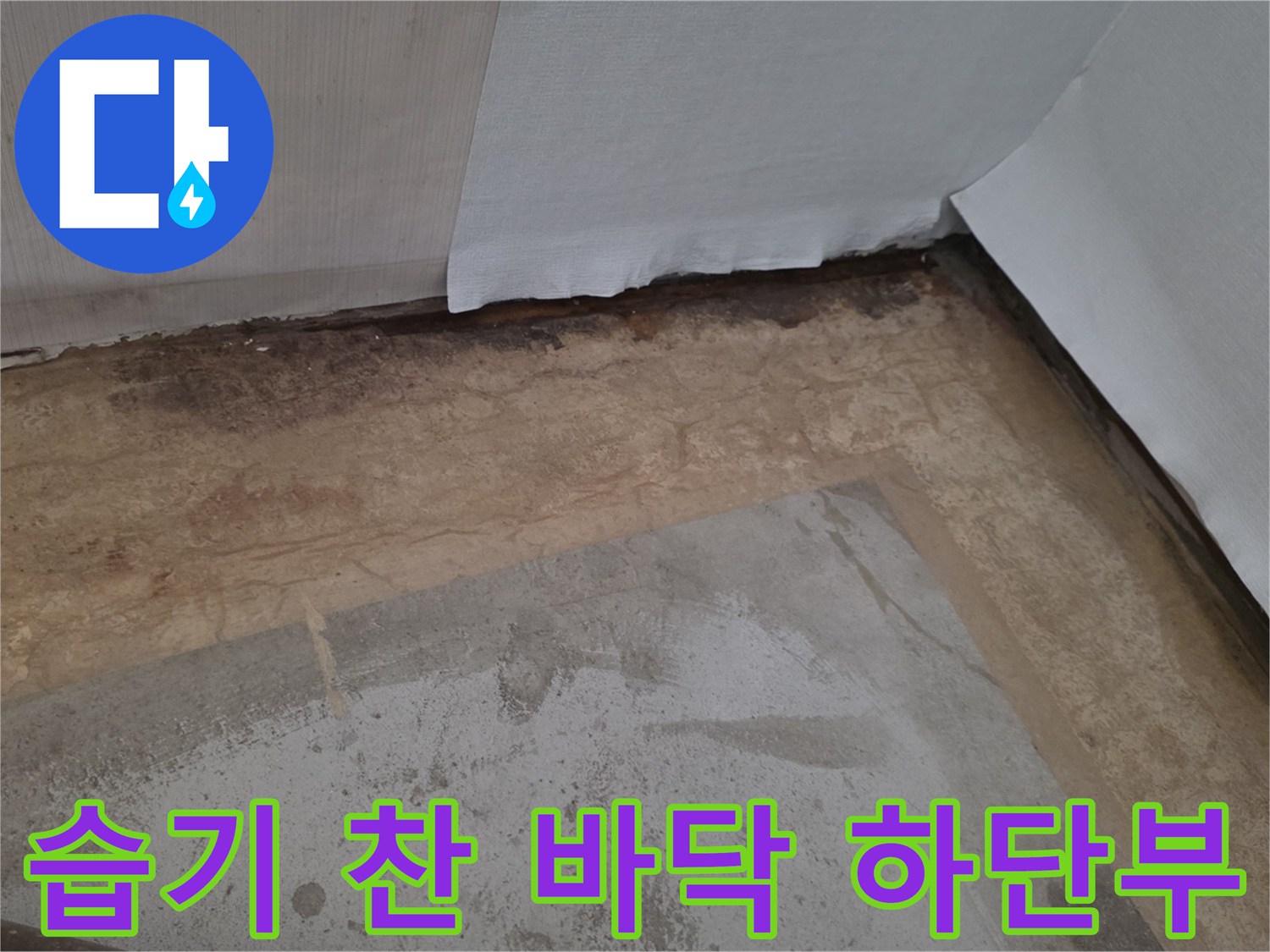 바닥 콘크리트층-물기에 젖어 어두워진 표면 상태