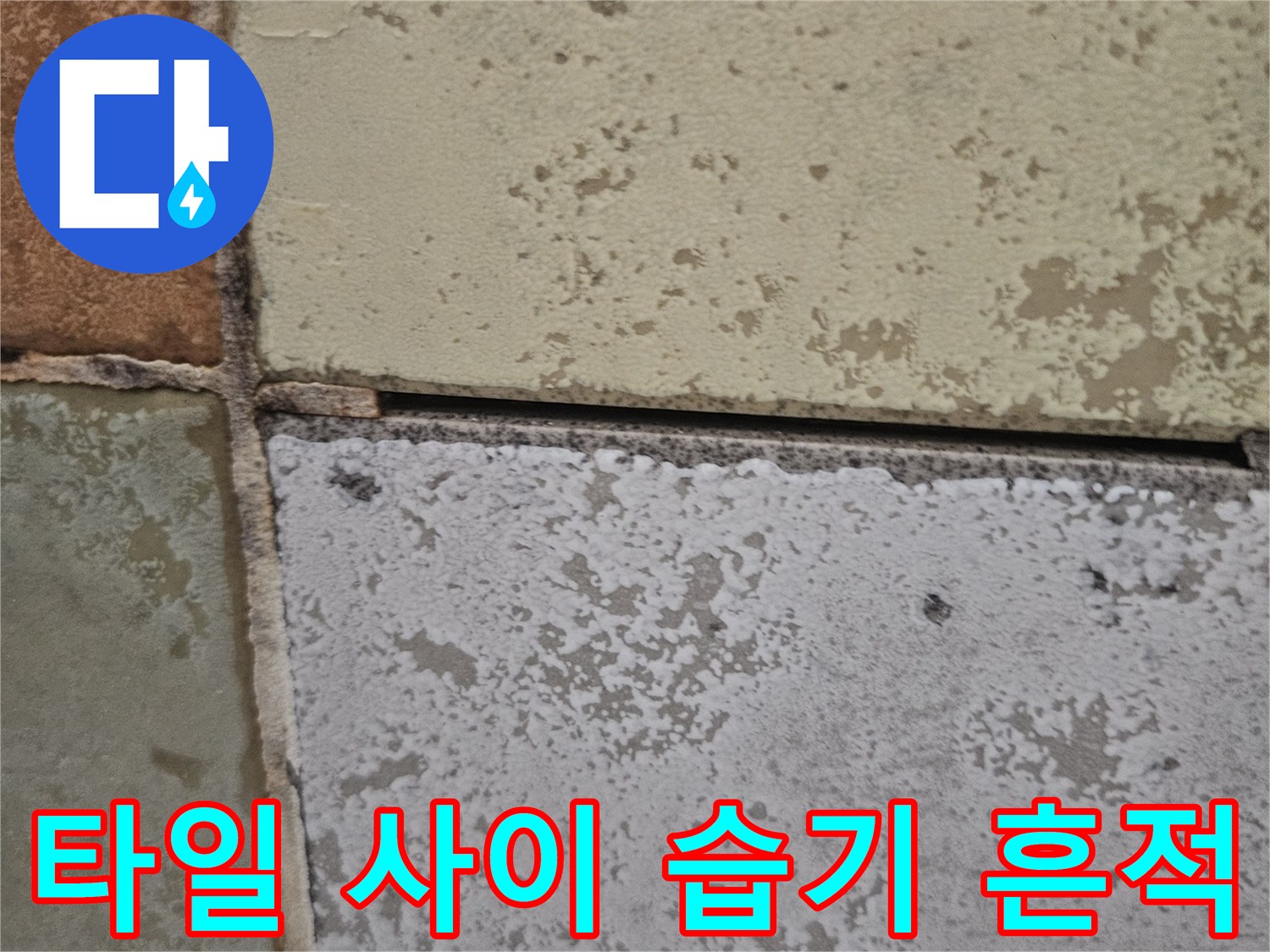 습기로 인해 얼룩진 욕실 타일 표면 상세