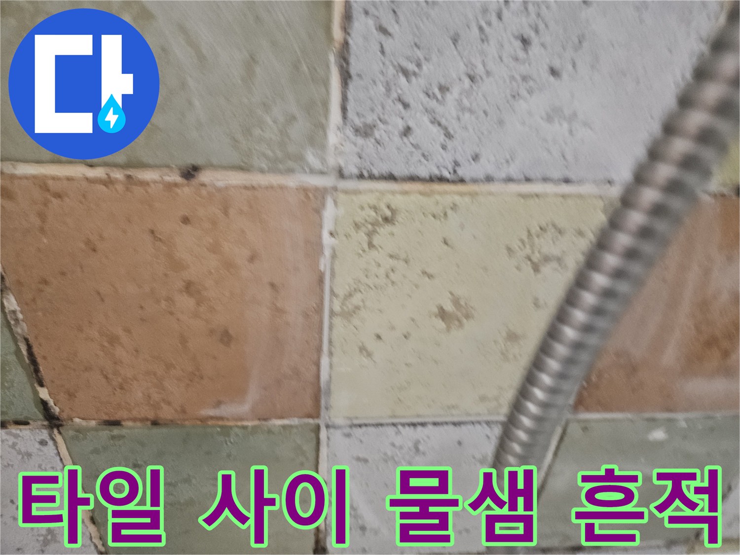욕실-타일-사이의-습기-및-오염-상태