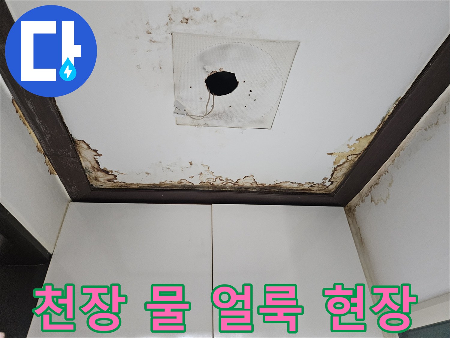 성북구 정릉동 아파트-천장 물 얼룩 및 곰팡이 발생 상태