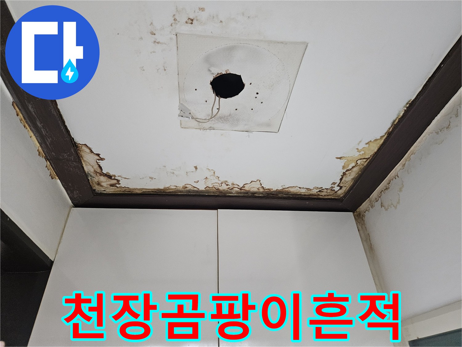 욕실-천장-주변의-심한-곰팡이와-물자국