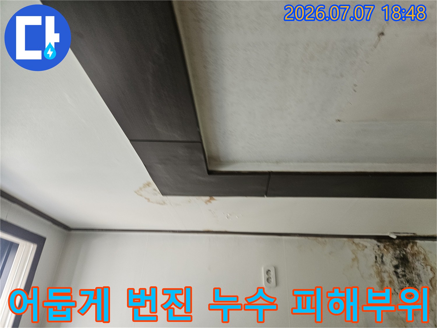 천장 마감재와 벽체 사이의 곰팡이 및 물자국 샘플