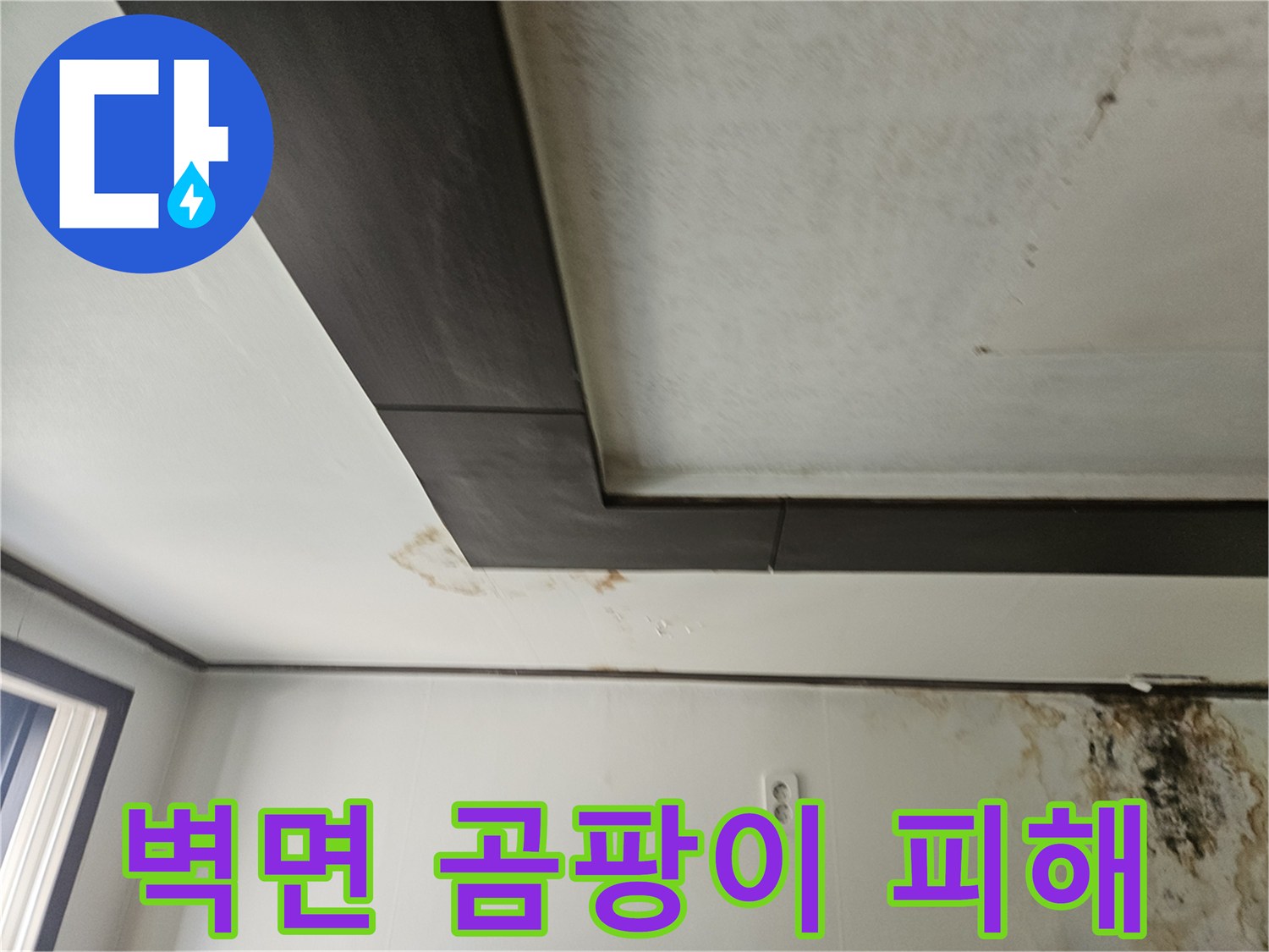 천장 몰딩과-벽지-사이의-누수로-인한-오염-및-곰팡이-증상