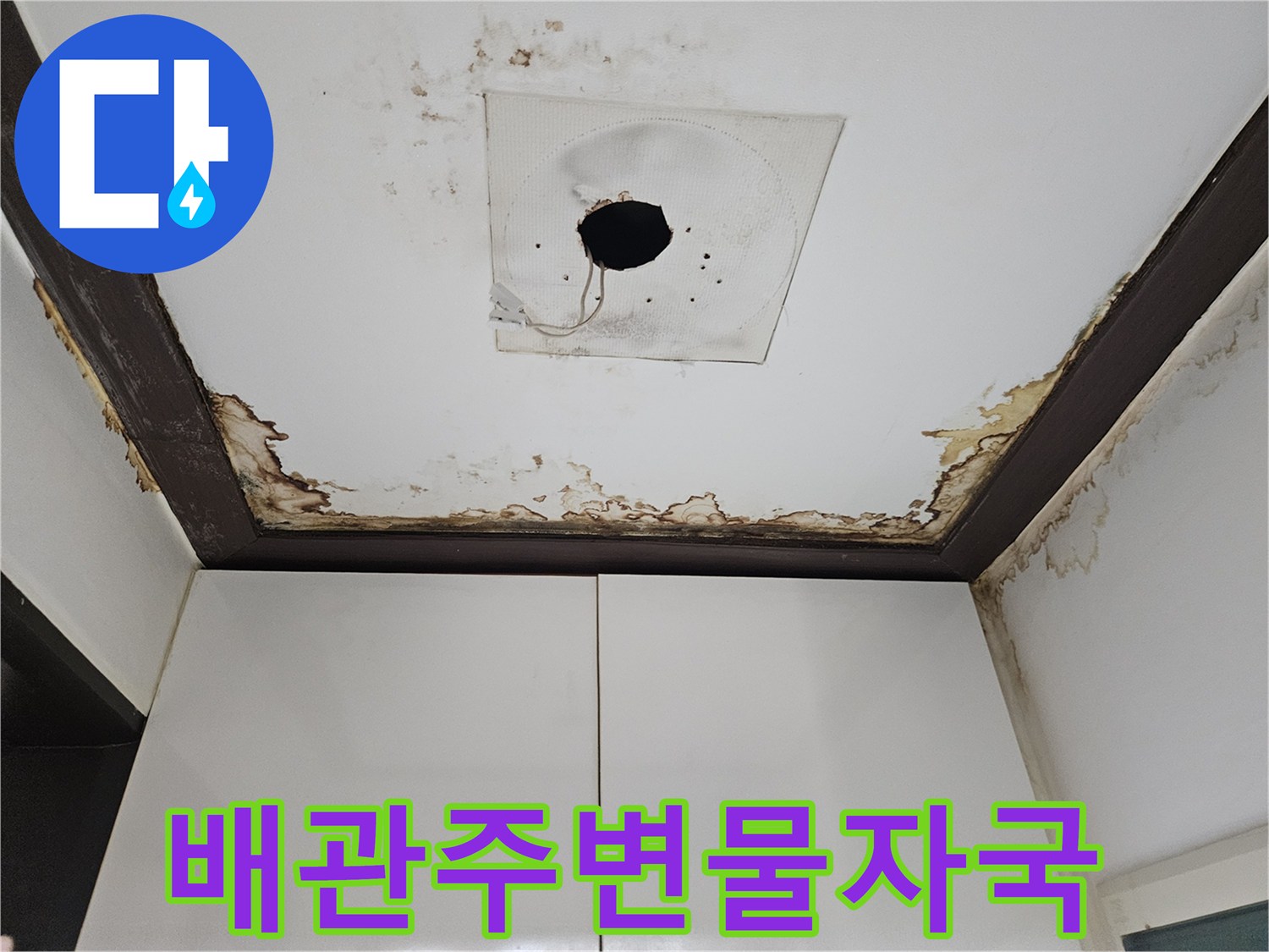 천장-전등구멍-주변의-심한-누수-변색