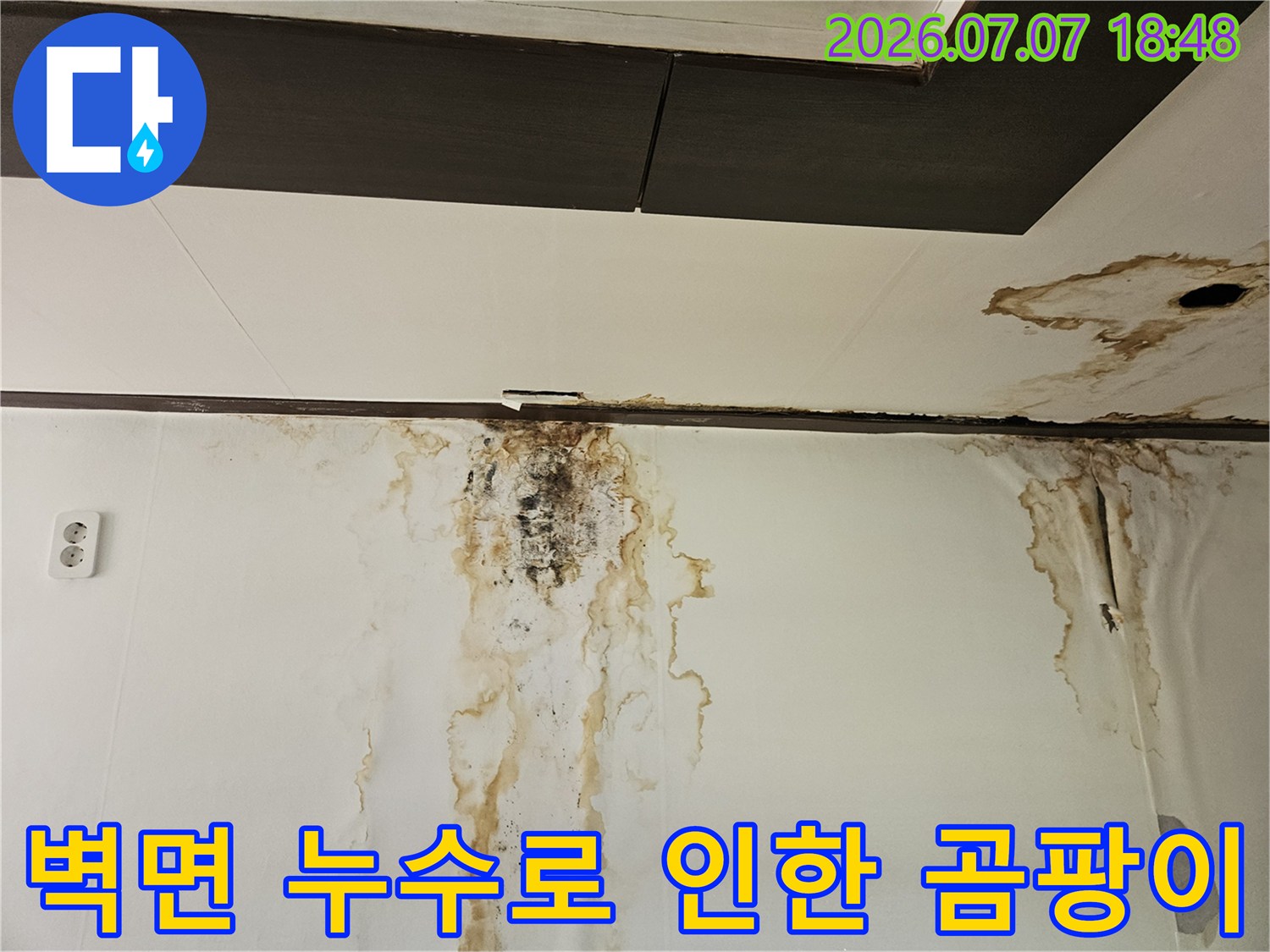 천장과 벽면 경계부에 발생한 대규모 물자국과 곰팡이