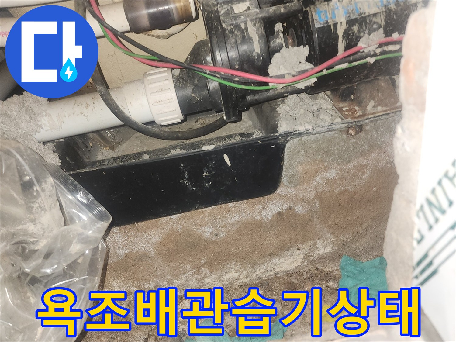 월풀욕조-하단-배관-주변의-습기-및-오염-상태
