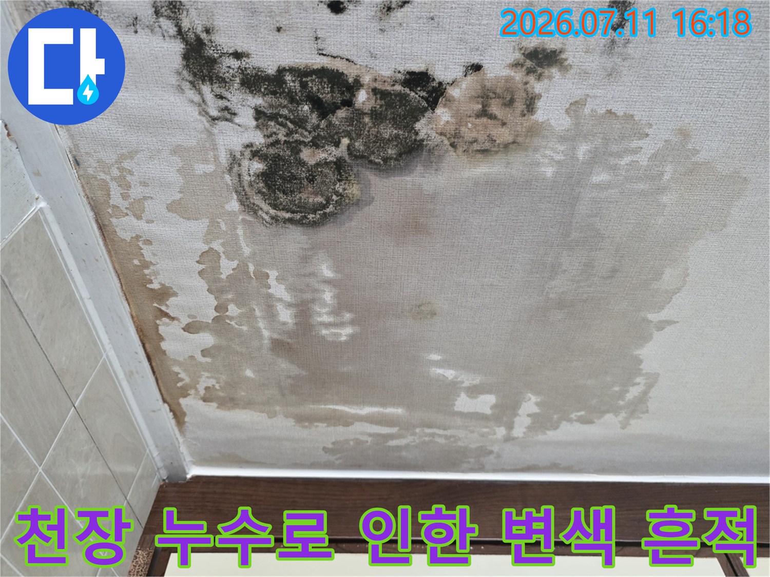 곰팡이와 습기로 인해 훼손된 아파트 천장 마감재