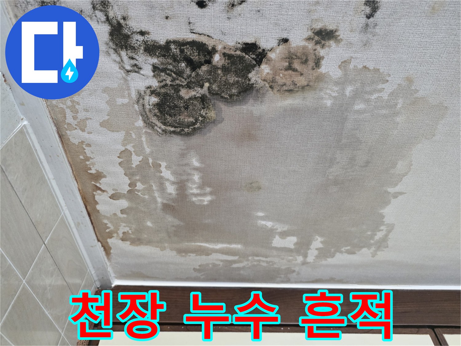 넓게-퍼진-천장-누수-및-곰팡이-자국