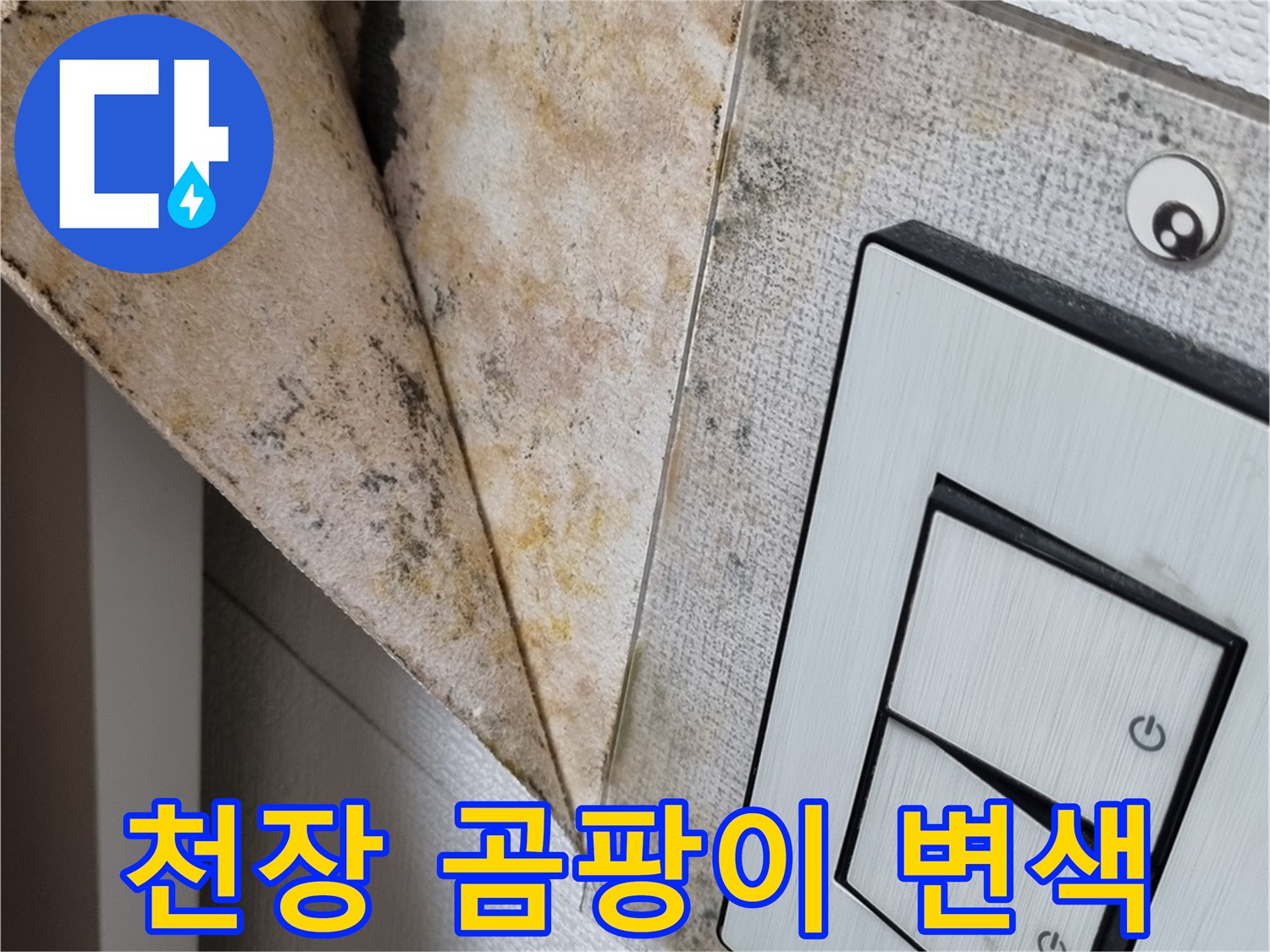 천장-벽지-곰팡이-및-변색-상태
