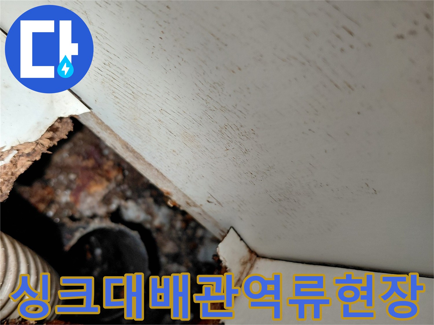 의정부-빌라-싱크대-배관-역류-및-누수-부위-확인