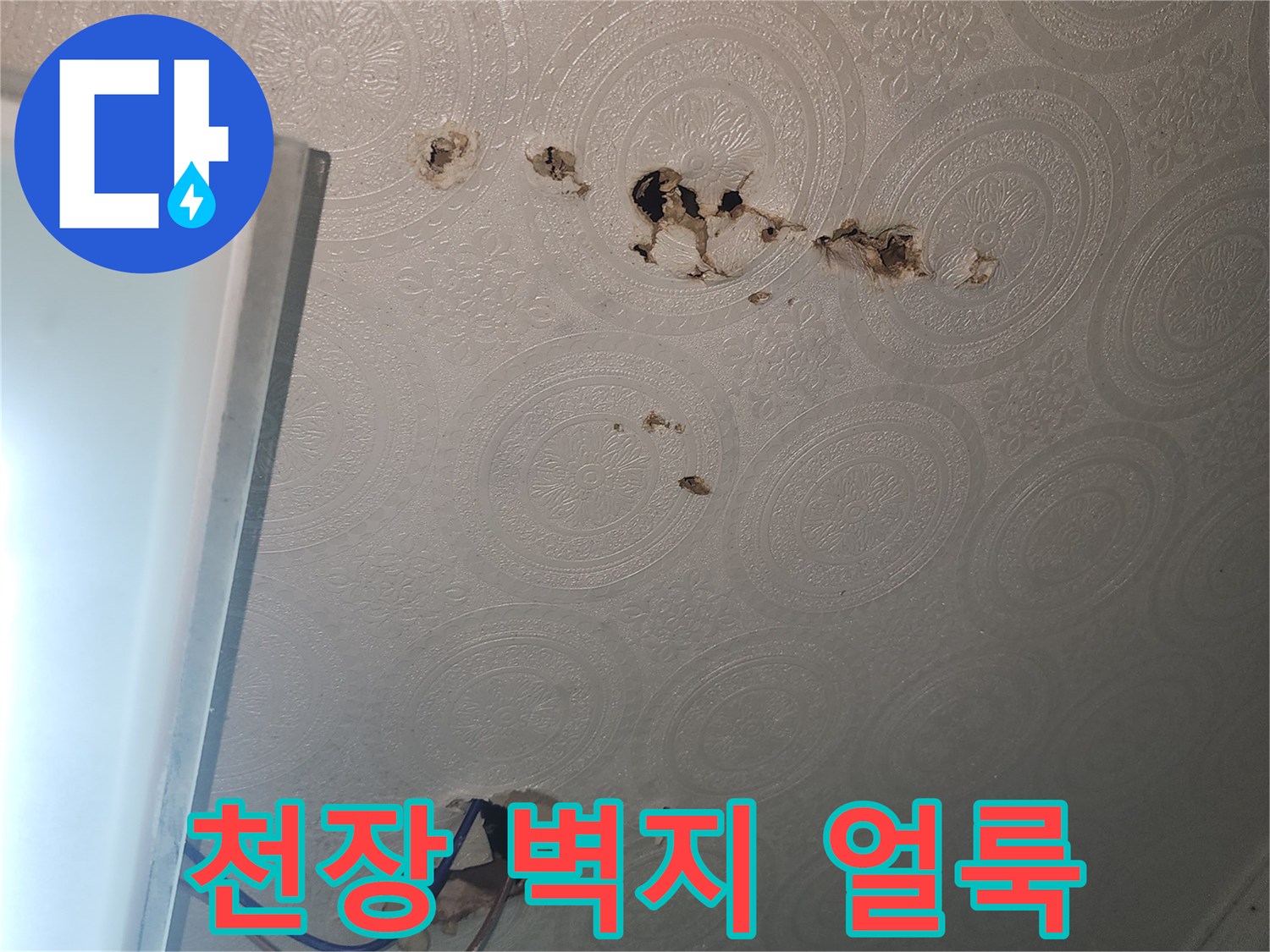 화장실-천장-벽지에-발생한-물샘-흔적과-얼룩