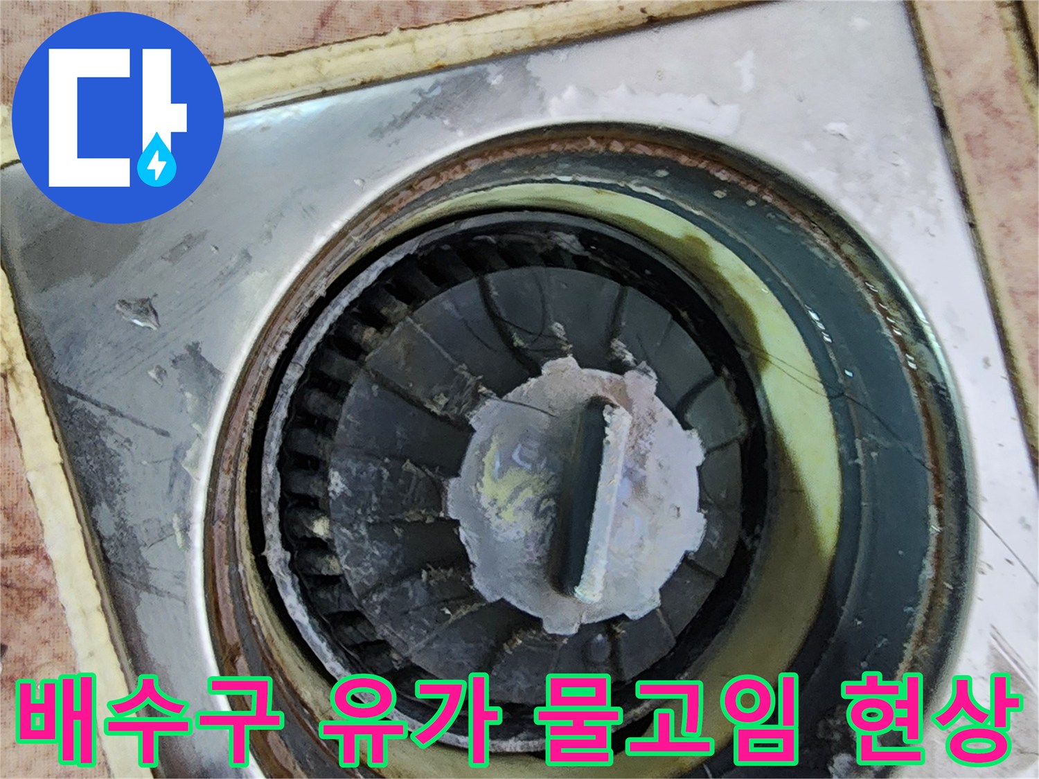 화장실 배수구 내부 - 이물질과 함께 물이 고여 있는 배수구 상태입니다.