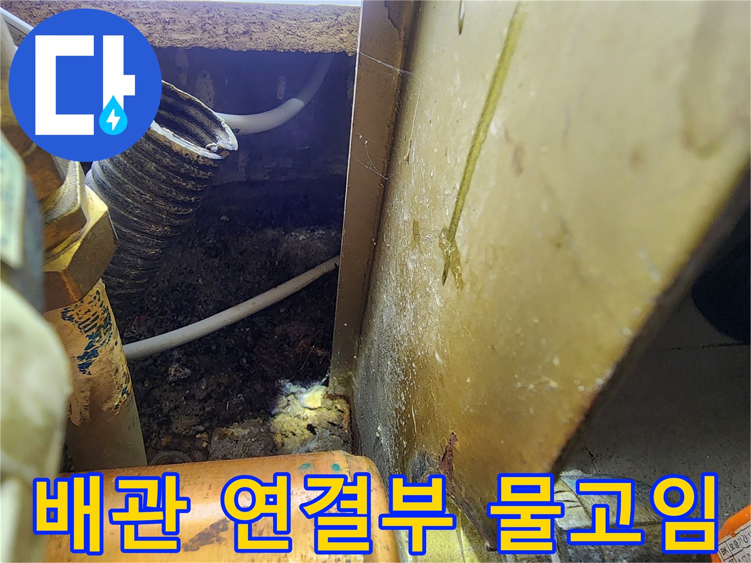 싱크대 하부 배관-연결 부위 주변의 축축한 바닥과 오염물 확인