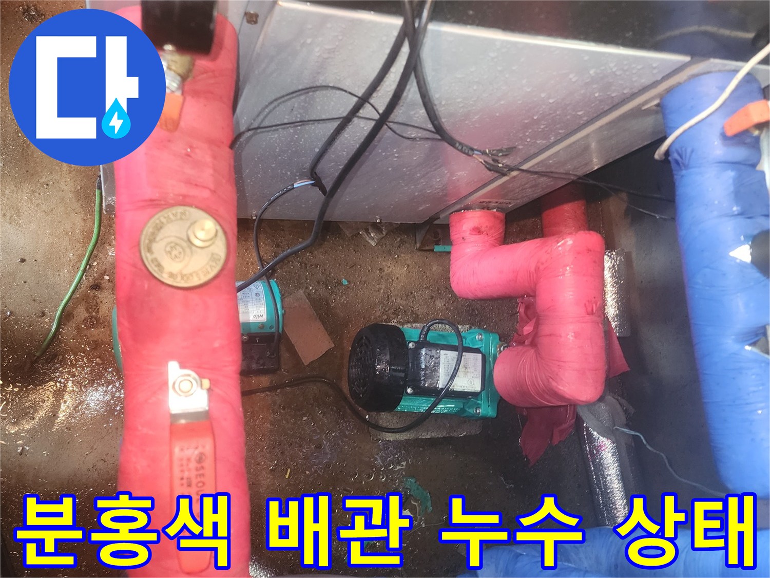 분홍색 보온재 배관 - 펌프 연결부의 물 고임 현상 관찰