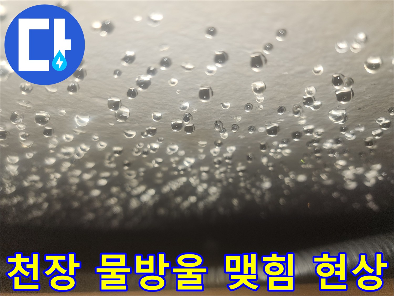 지하층 천장에 맺힌 수많은 물방울 - 누수 경로 추적 중