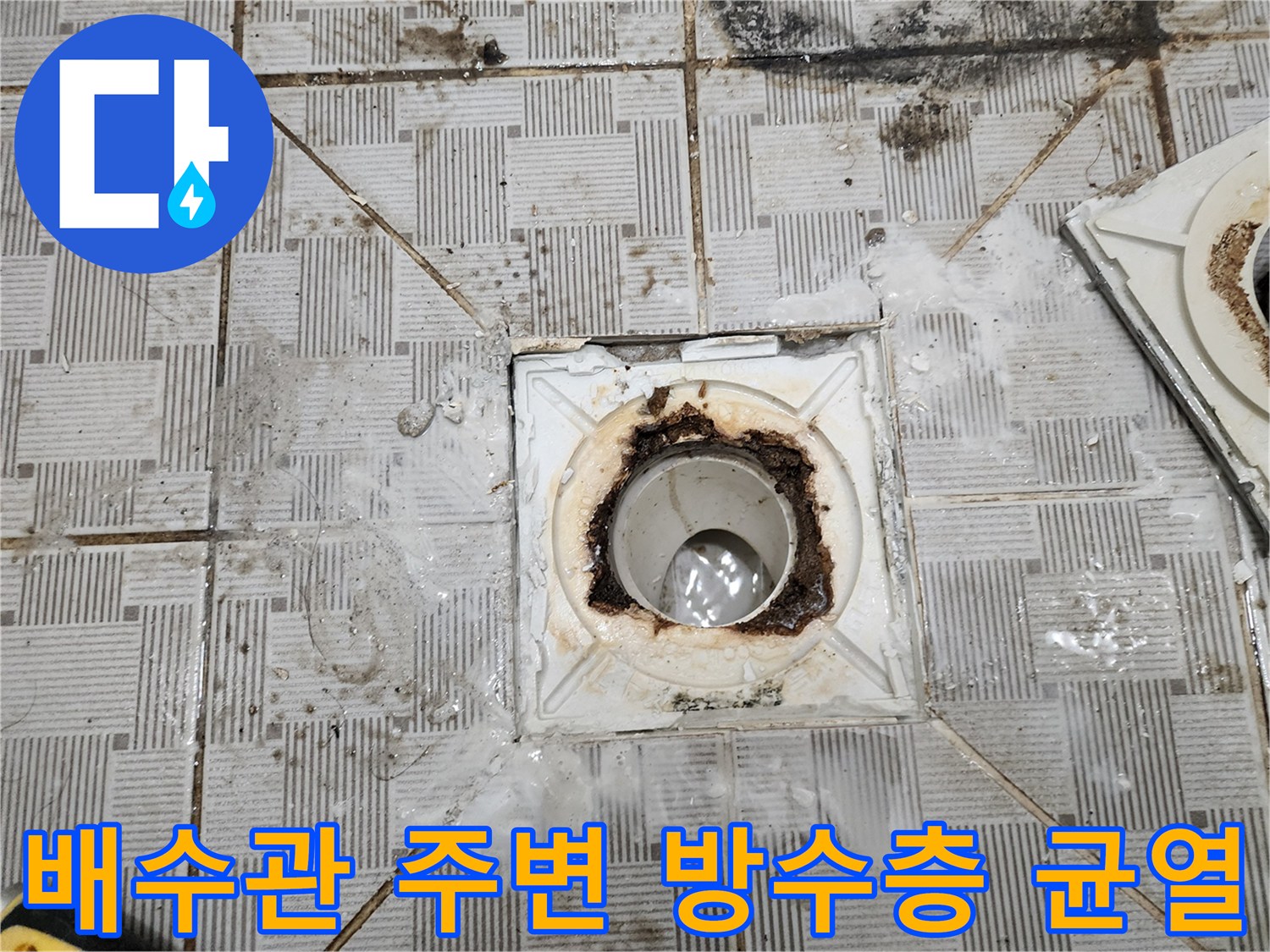 배수관 입구 주변의 젖은 타일과 갈라진 틈새 현상
