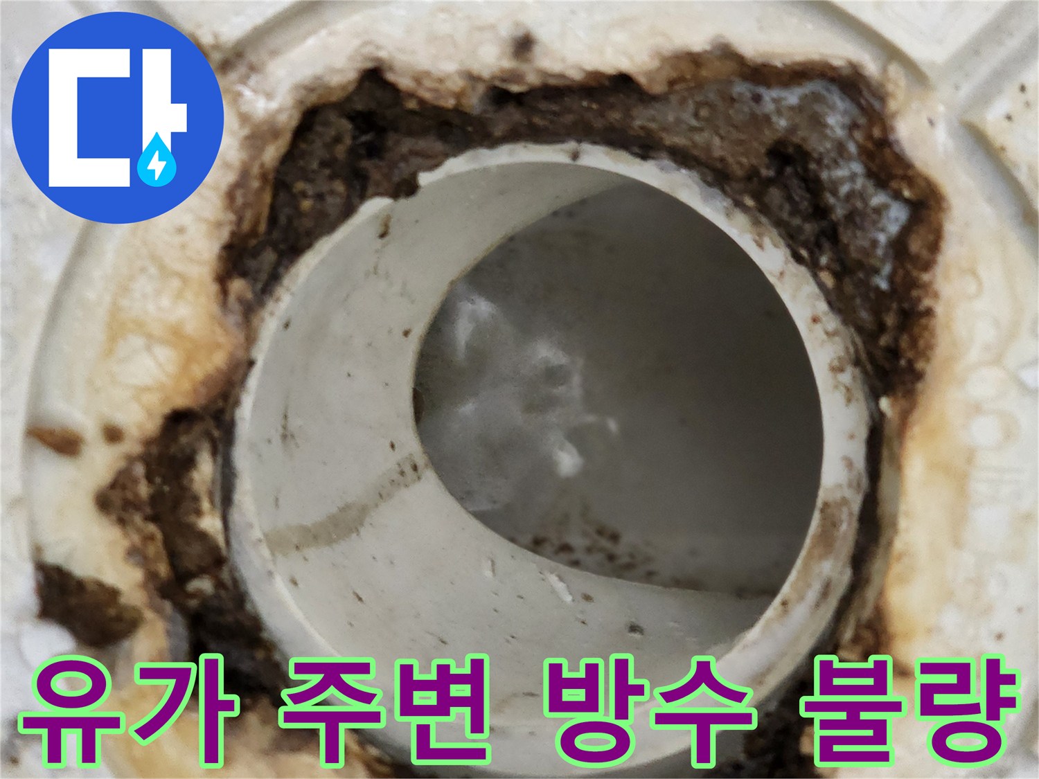 하수구-배관-주변의-방수층-파손과-오염물
