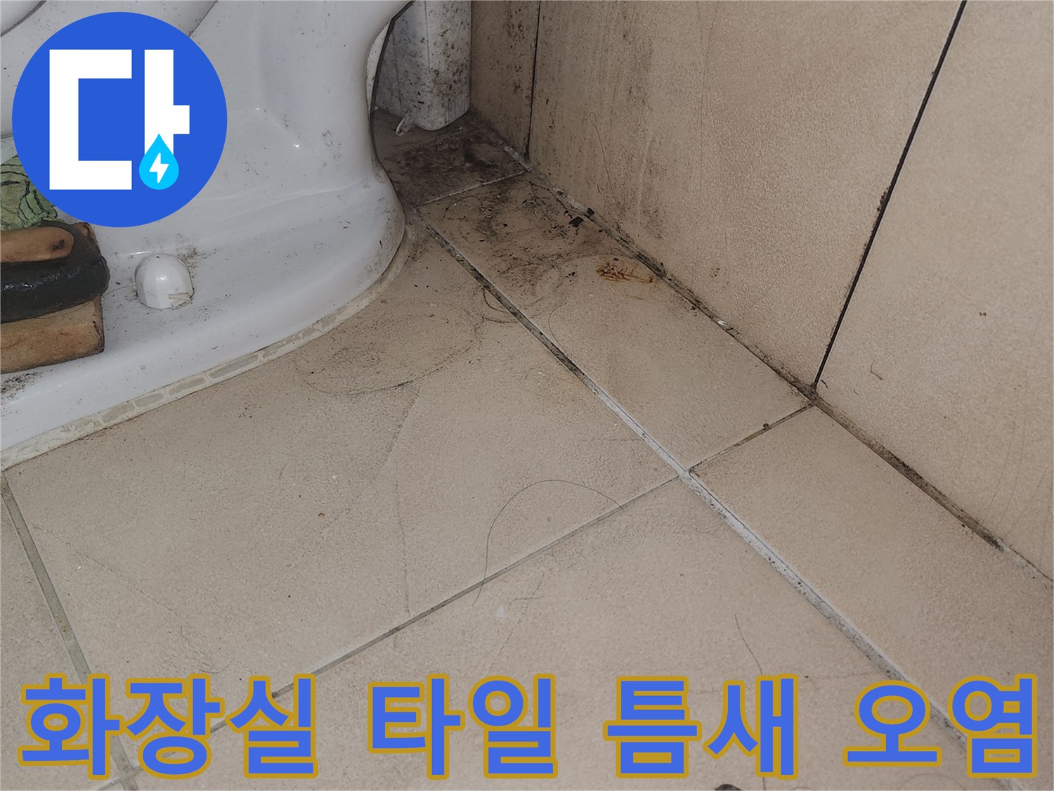 연수구 송도동 화장실 바닥 타일 틈새의 곰팡이와 오염 상태