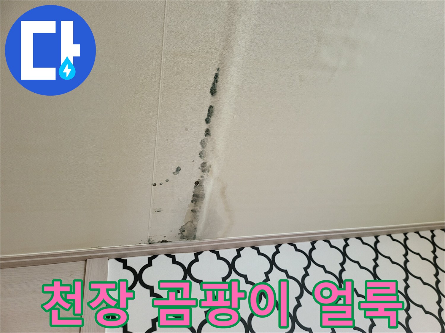 빌라 거실 천장에 발생한 검은색 곰팡이와 물자국 상태입니다.