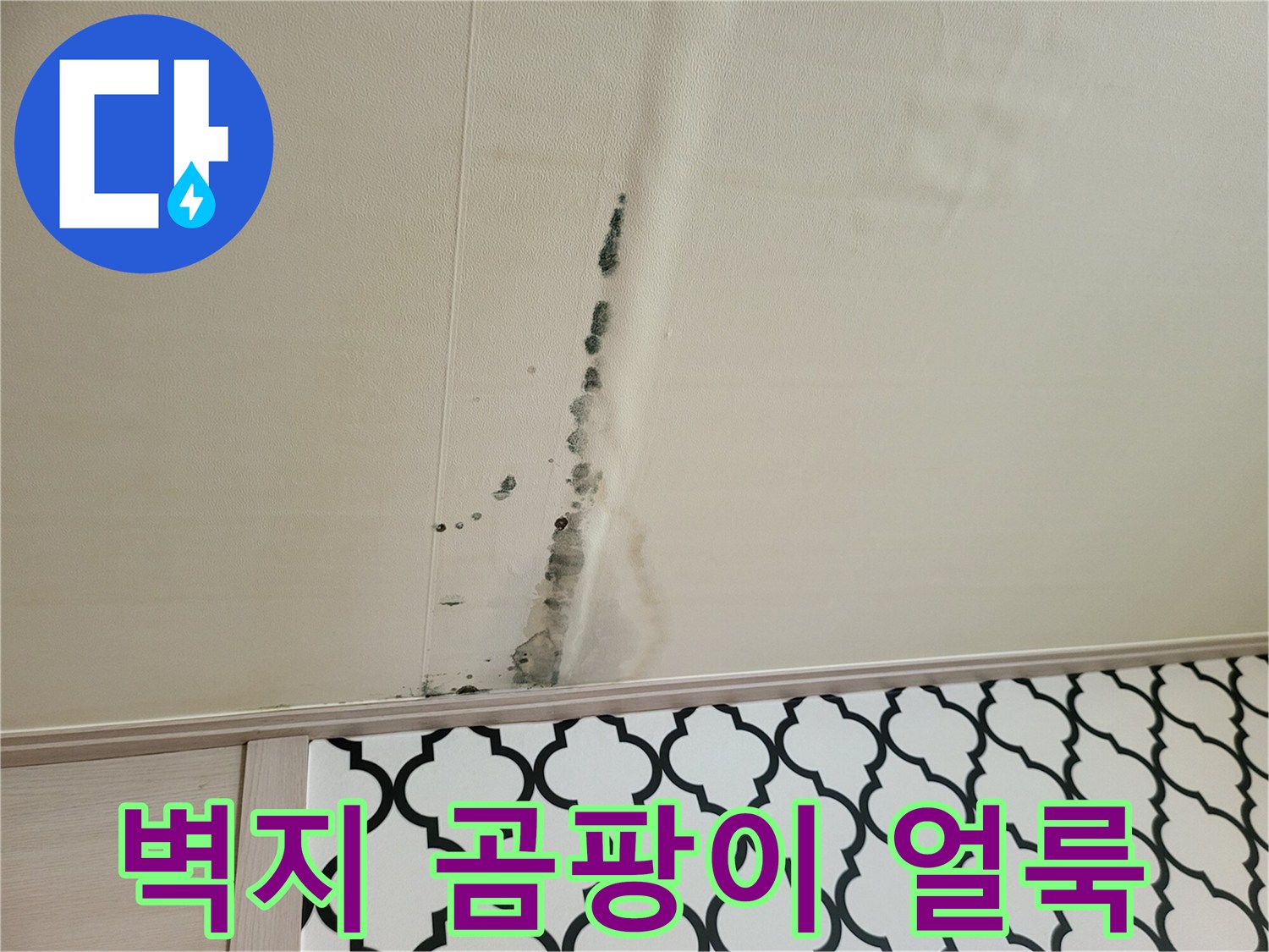 천장 벽지를 따라 번져있는 누수 곰팡이 흔적