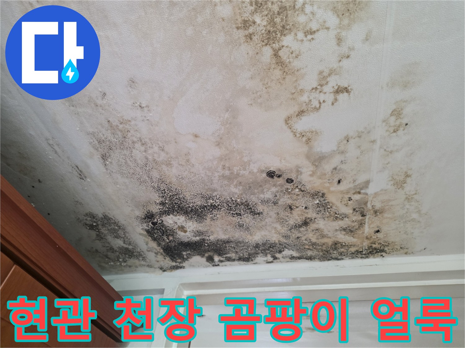 천장 마감재에 퍼진 넓은 범위의 곰팡이와 습기 흔적