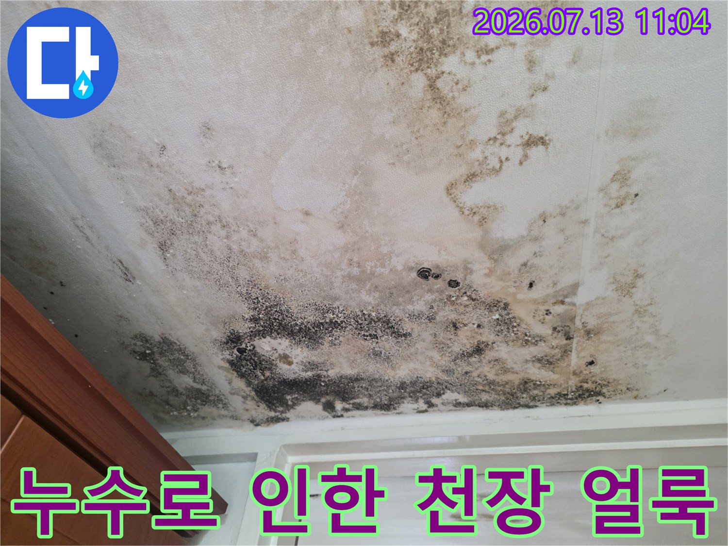 현관 입구 쪽으로 번진 곰팡이와 누수의 흔적이 가득한 천장