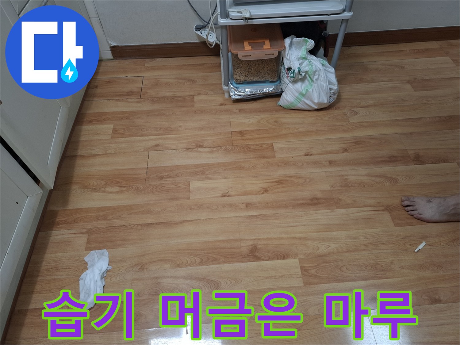 물샘 증상이 나타난 주방 바닥재 모습