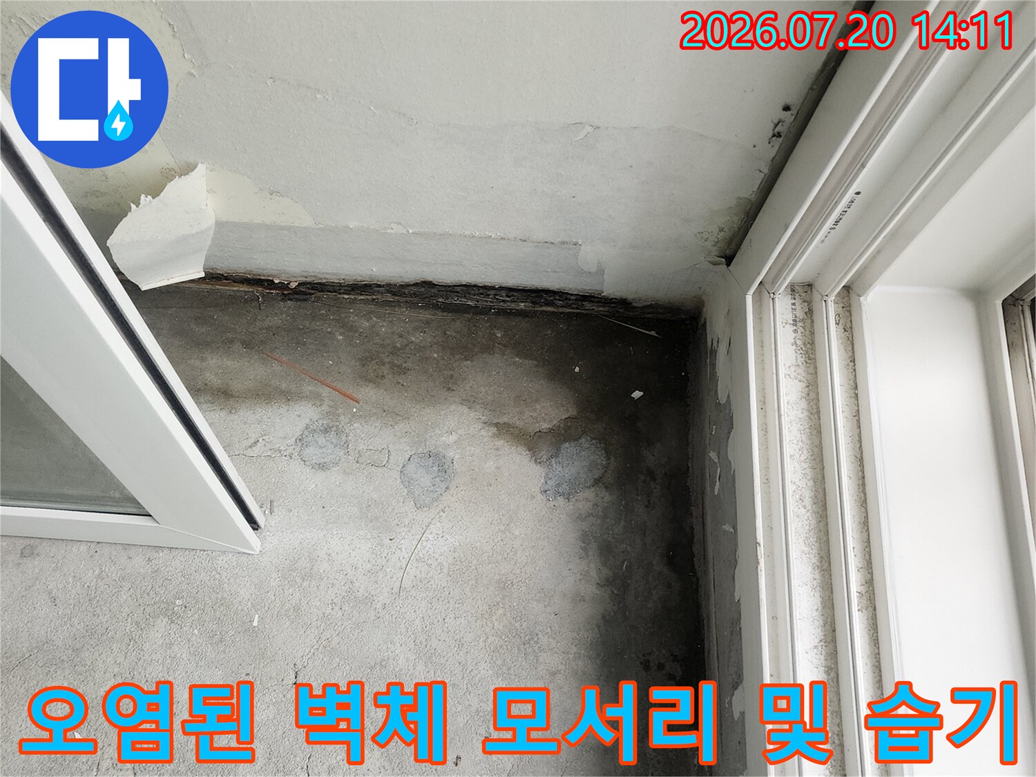 수분 유입으로 인해 변색되고 곰팡이가 발생한 실내 벽면 모습