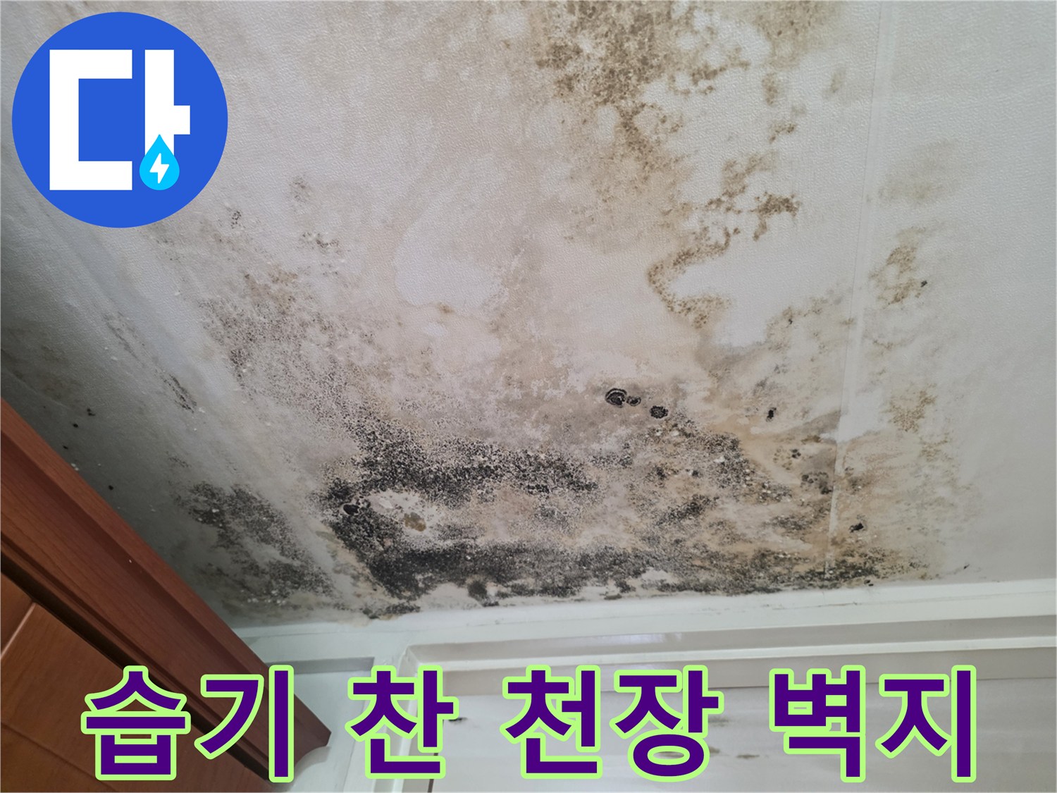 곰팡이로-뒤덮인-천장-벽지-표면의-상태