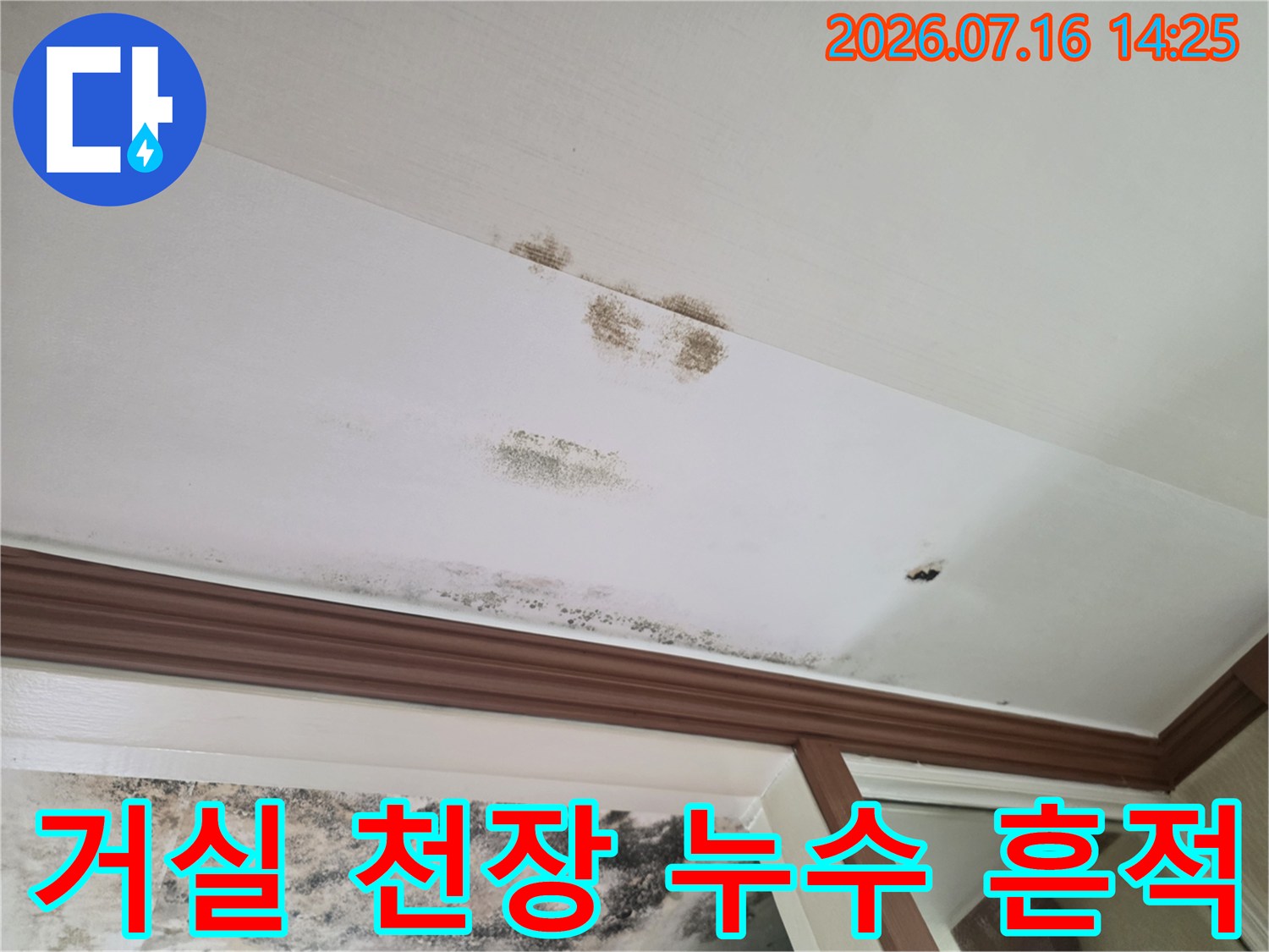 누수로 인한 천장 마감재 변색과 곰팡이 발생 부위
