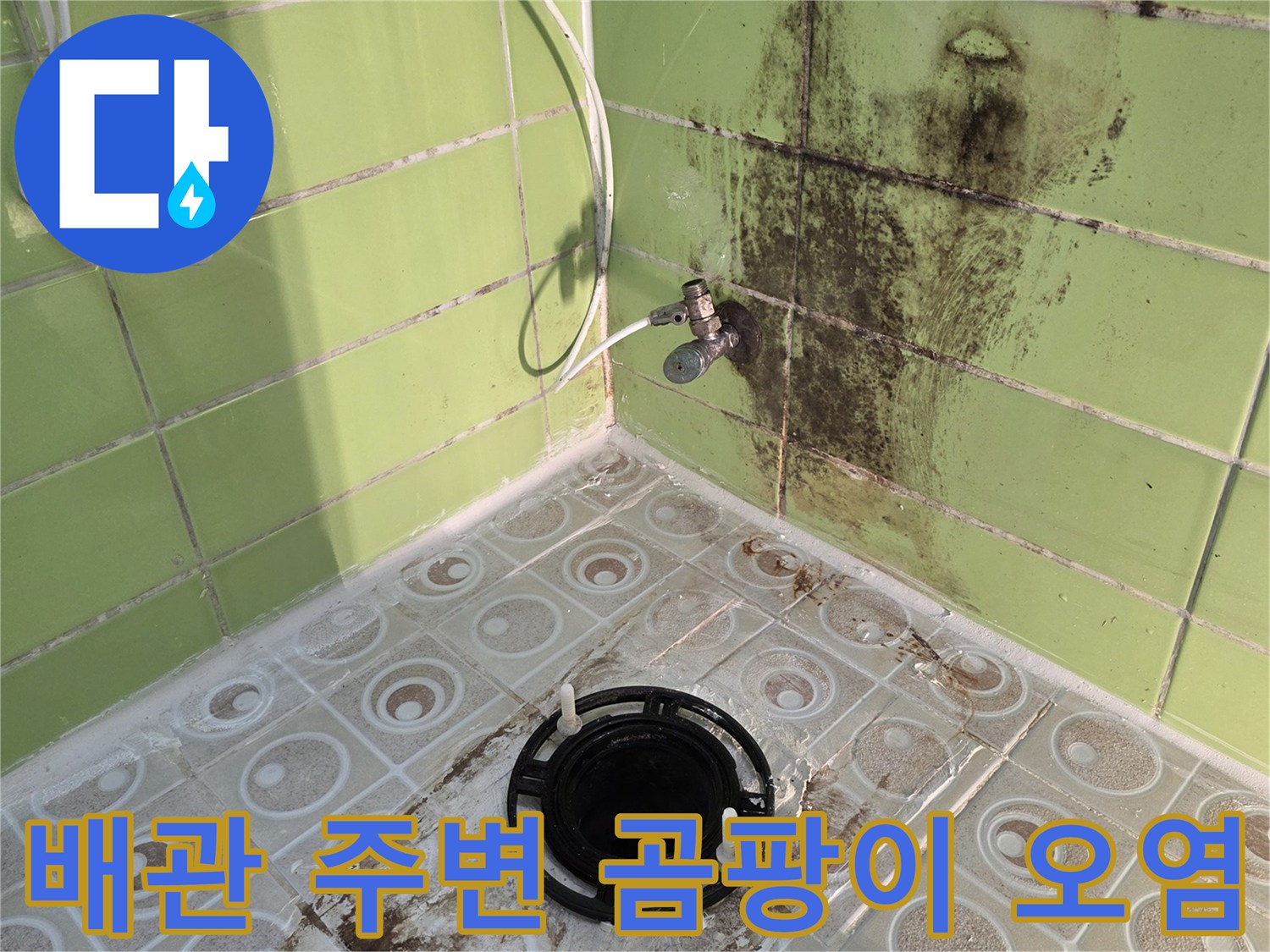 화장실 벽면 하단부의 곰팡이와 물자국 현황