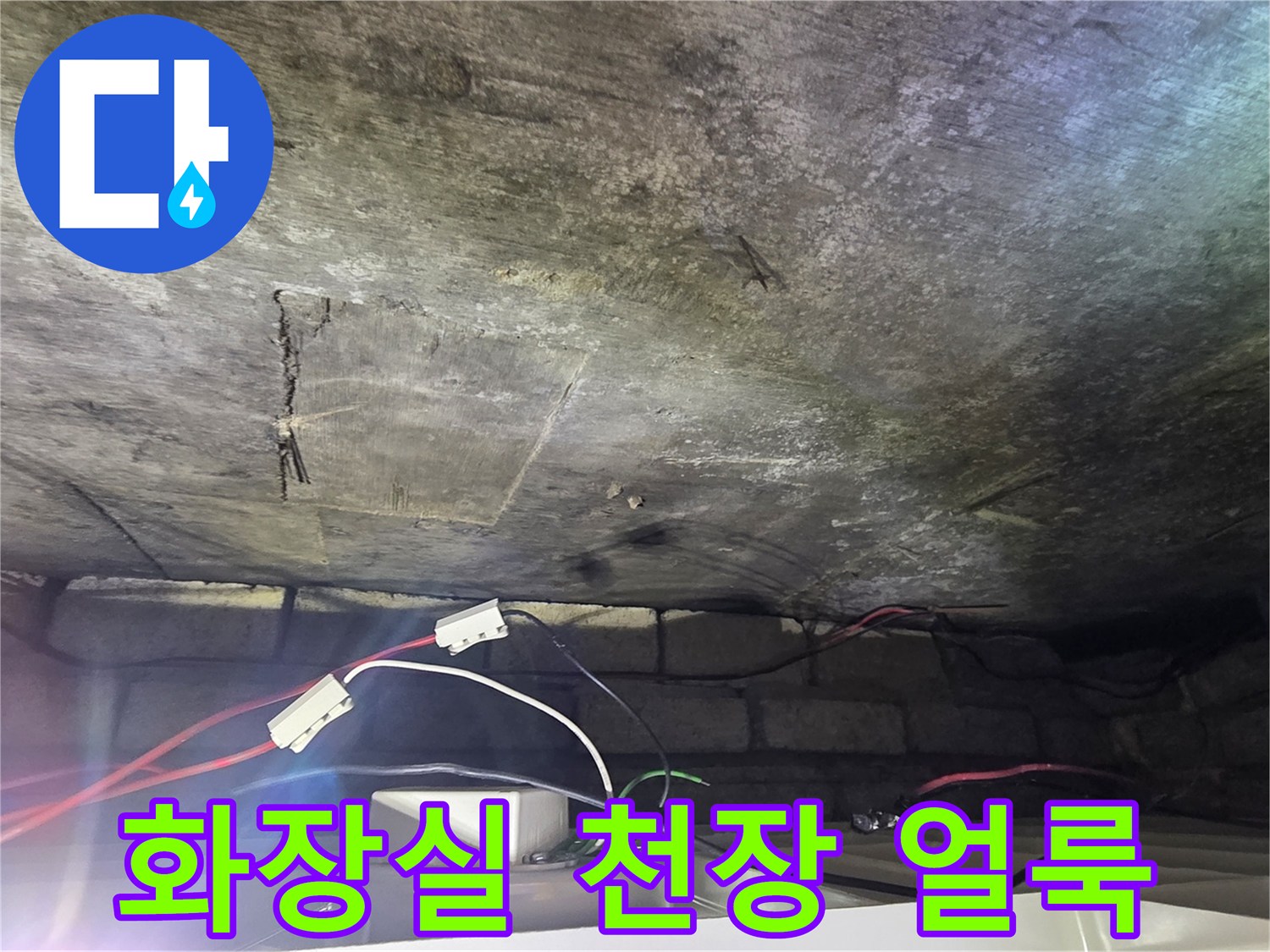 광주 신현동 화장실 천장의 물 얼룩과 곰팡이 흔적