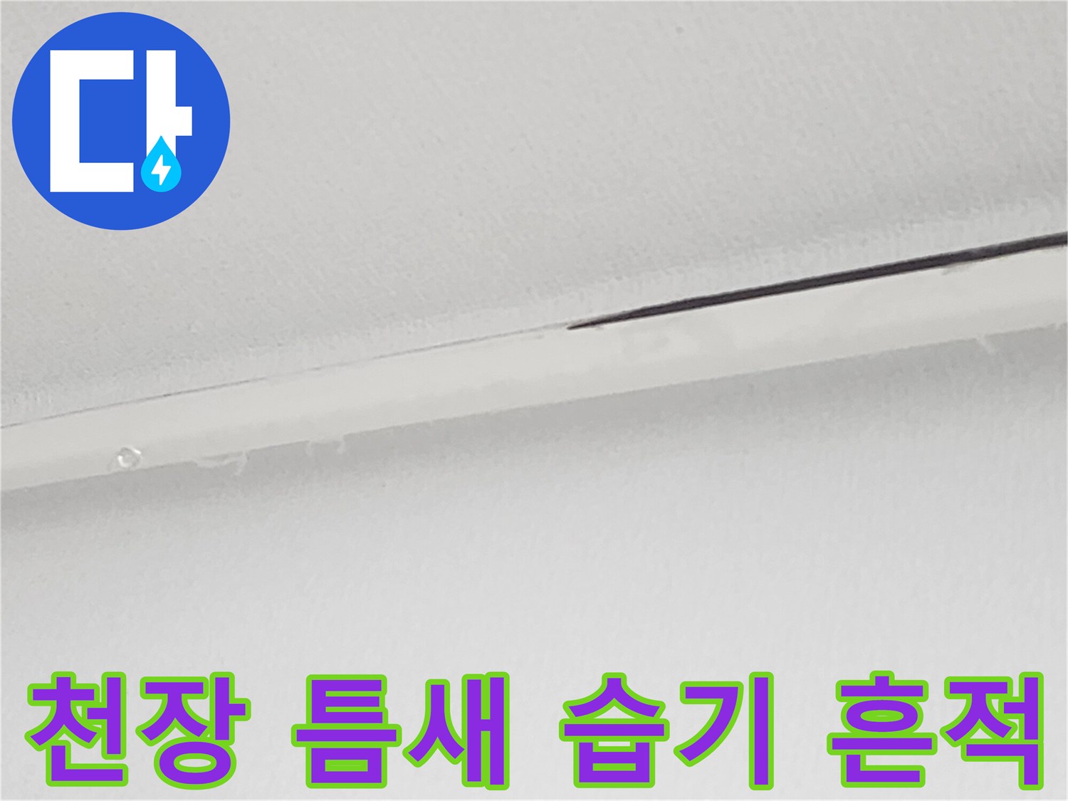 아랫집 천장-틈새 사이로 스며든 누수 증상 부위
