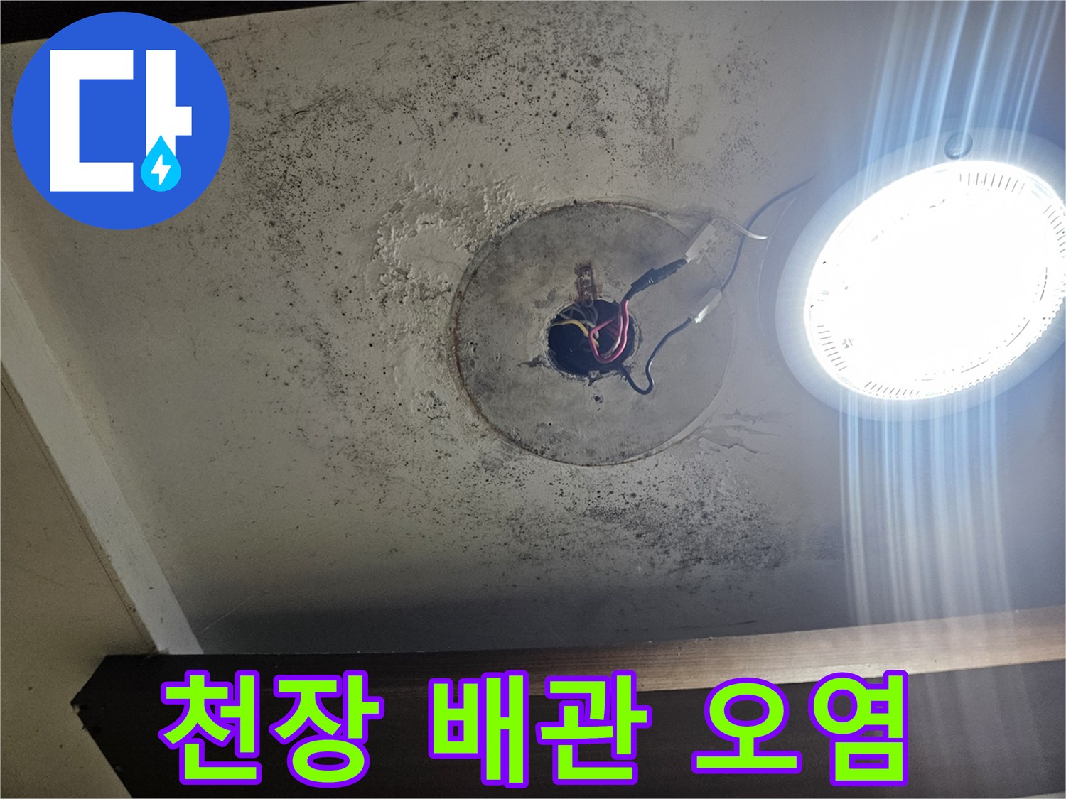 배관 주변에 발생한 검은 곰팡이와 물샘 흔적 사진