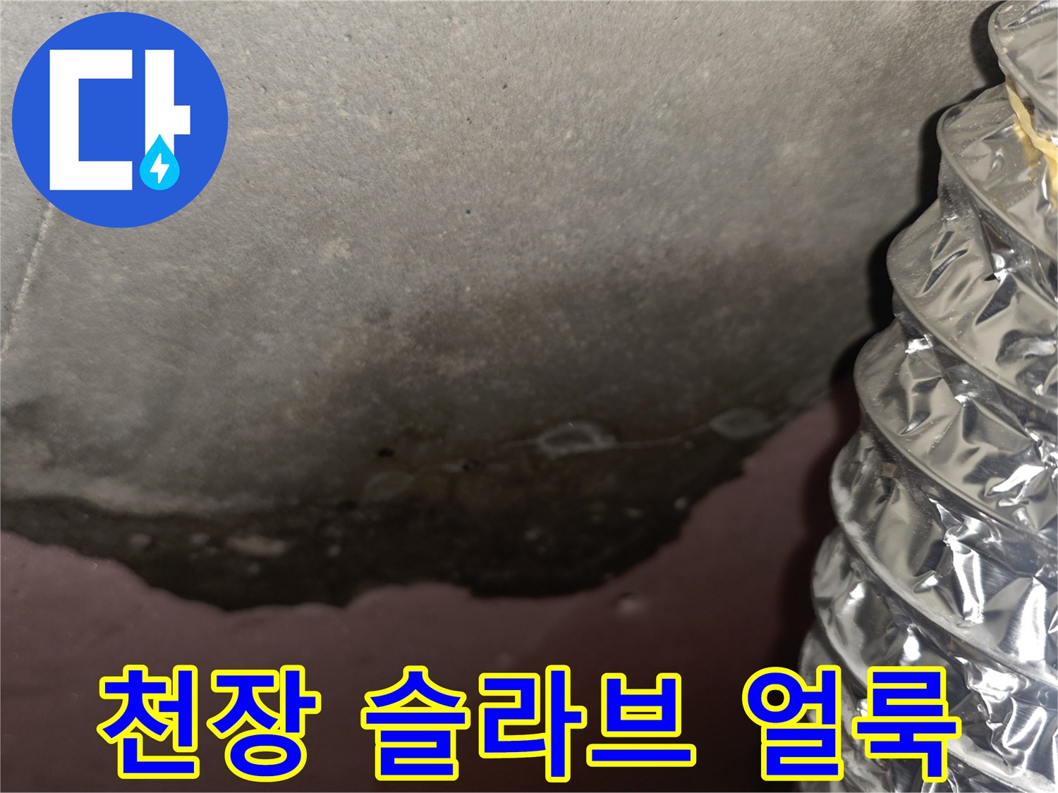 슬라브-표면의-누수-흔적과-곰팡이-발생