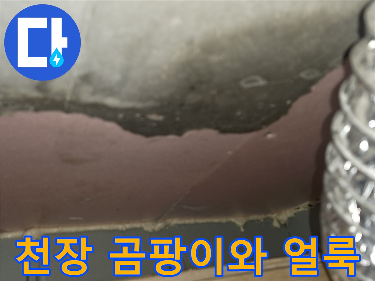 신축-아파트-천장-슬라브-층의-곰팡이-및-습기-상태