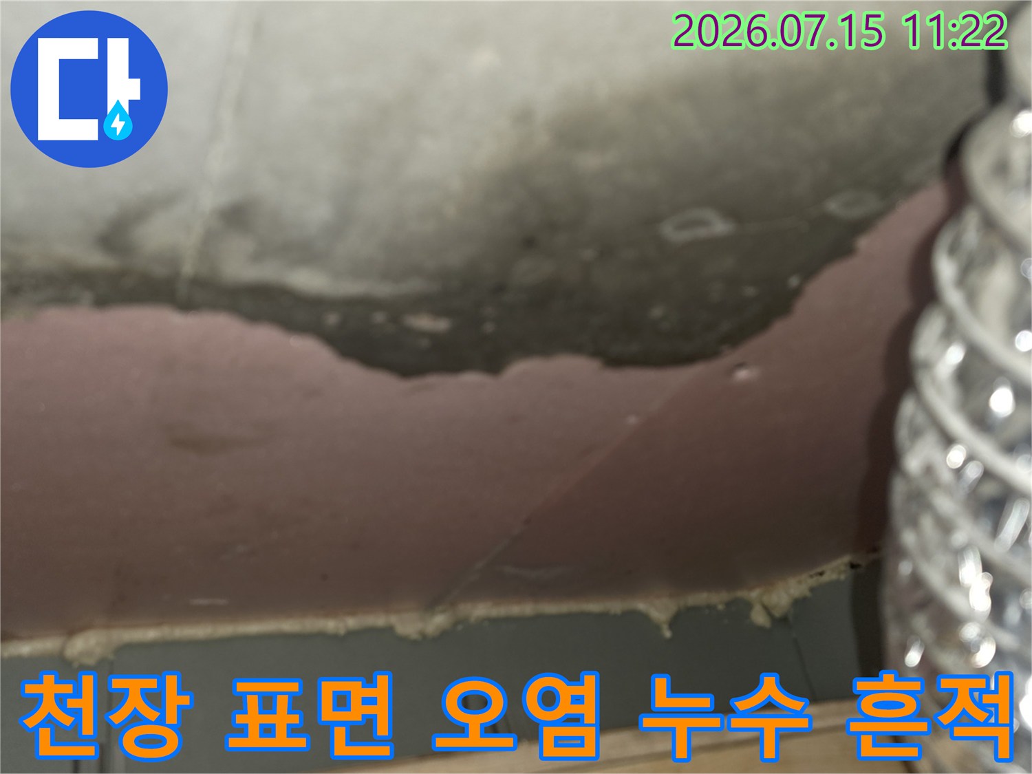 은색 배관 옆으로 넓게 퍼진-천장의 어두운 누수 얼룩과 곰팡이
